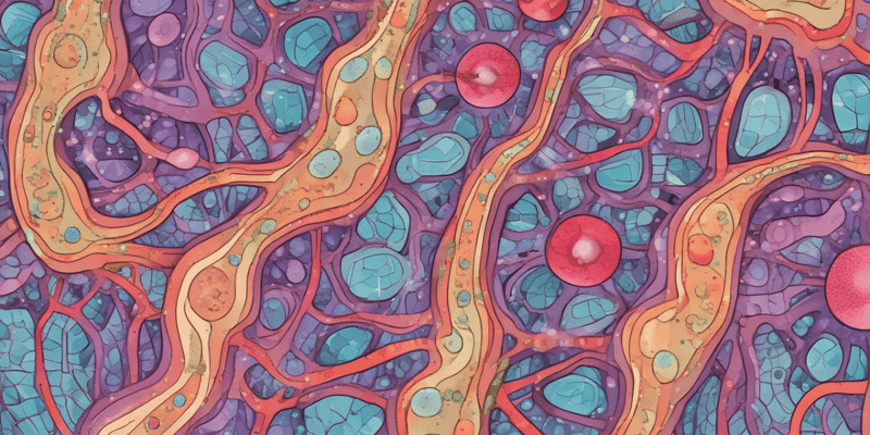 Epidermis: Langerhans Cells Overview