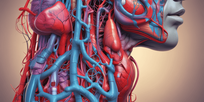 Human Anatomy and Physiology Quiz: Cardiovascular System