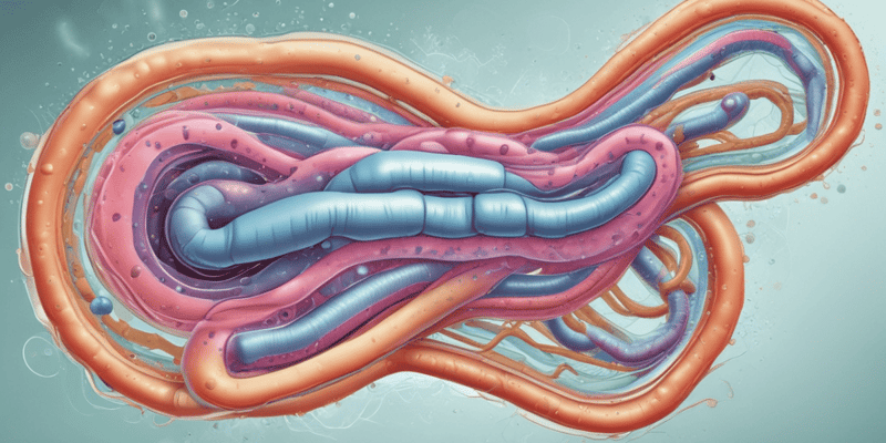 Vibrio Cholerae: Caractéristiques et Traitement