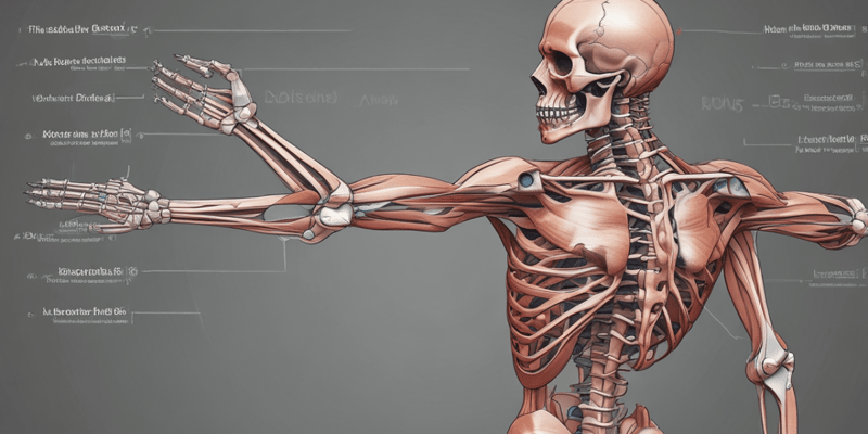 Understanding Skeletal Muscle