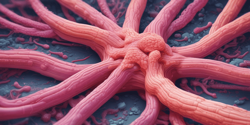 Gastrointestinal Epithelium and Mucosa