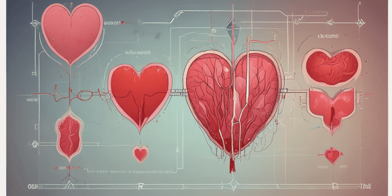Cardiac Cycle and Heart Abnormalities Quiz