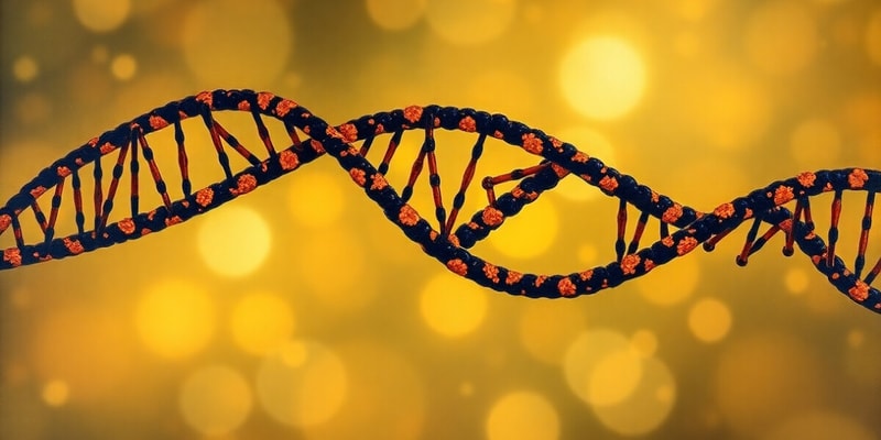 RNA Structure and Comparison with DNA