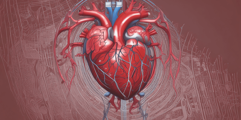 Cardiovascular System: Heart and Blood Supply