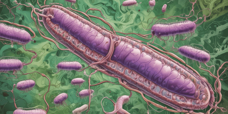 Vibrio cholerae : Identification et Traitement