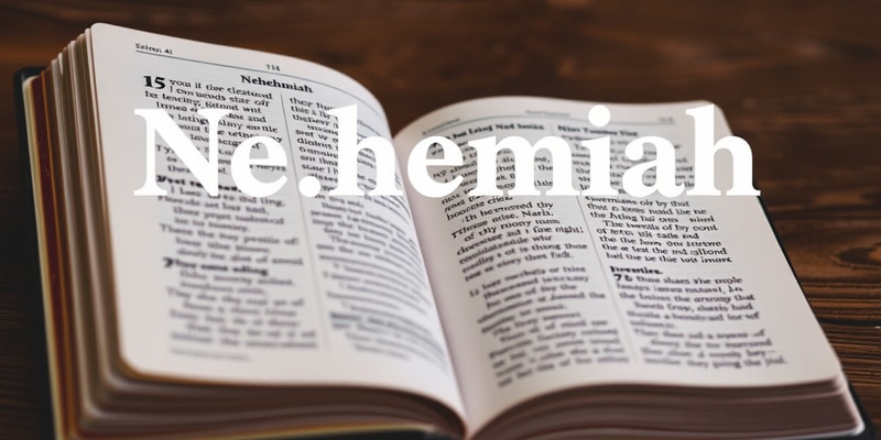 Nehemiah Chapter 10 Study Questions