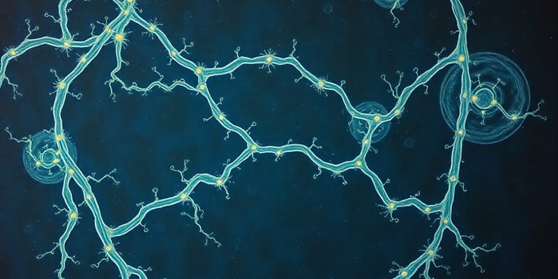 Lec-5-Cytoskeleton. EASY.OSR