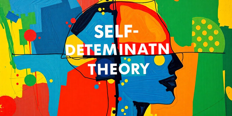 Self-Determination Theory and Motivation Quiz