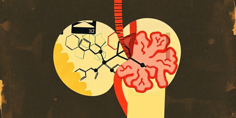 Adrenal Gland Hormones Overview