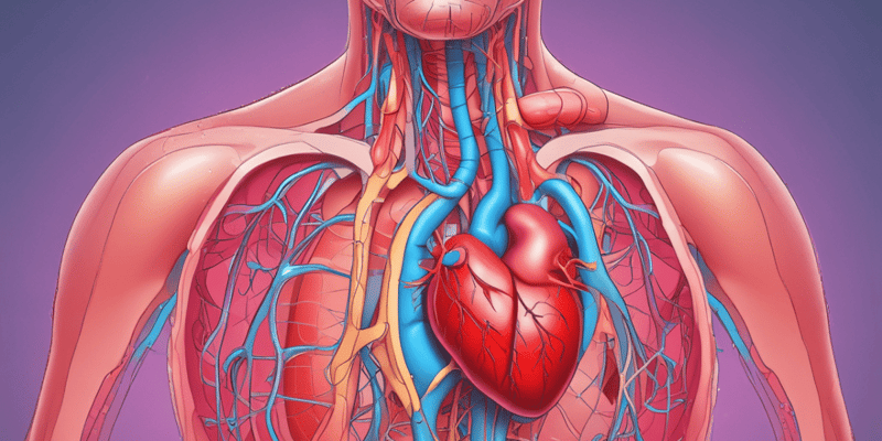 Vasodilatation and Adiponectin: Effects on Blood Pressure and Cardiovascular System