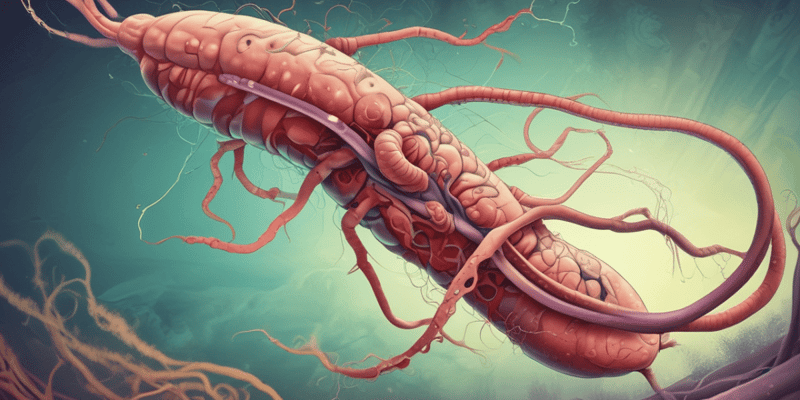 Helicobacter Pylori Infection Causes