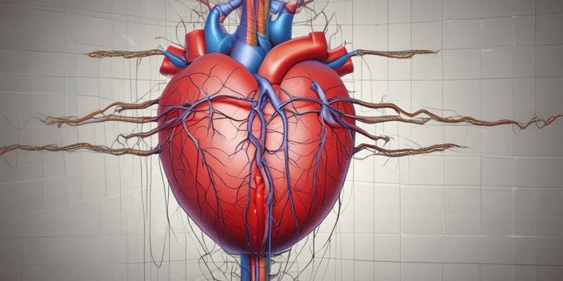The cardiac system: anatomy and physiology