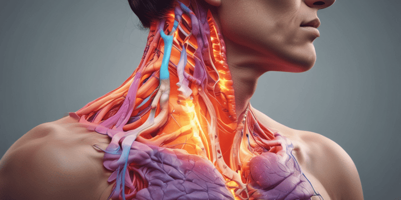 Signs and Symptoms of Neck Pain