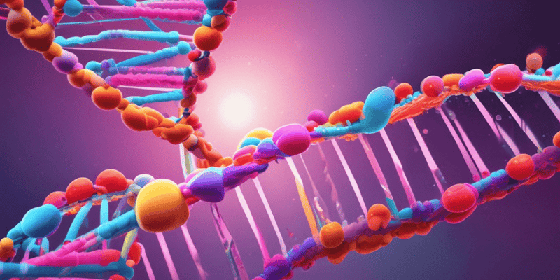Genes and DNA: Structure, Replication, and Protein Synthesis