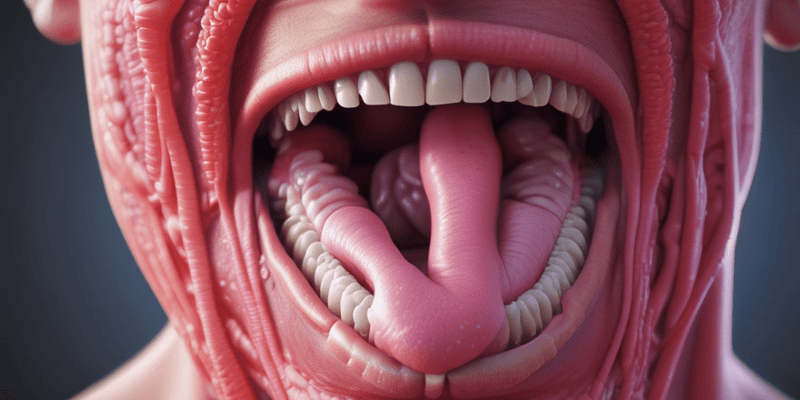 Anatomy and Function of the Tongue and Salivary Glands