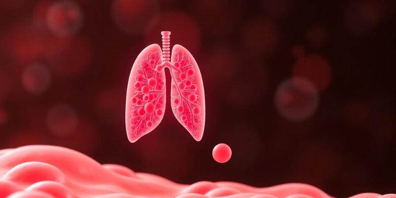 Biology Topic 12.5: Anaerobic Respiration