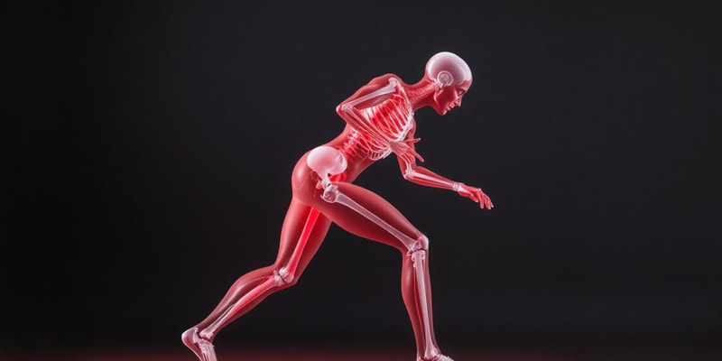 Kinesiology and Human Movement Overview