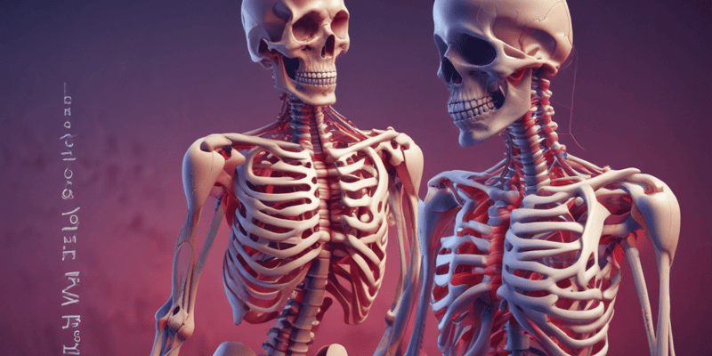 Musculoskeletal System Functions and Diseases Quiz