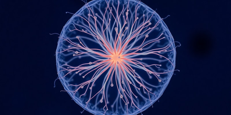 Asexual Reproduction and Respiration in Yeast