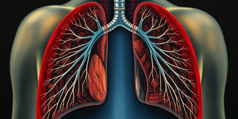 Sistema Respiratorio