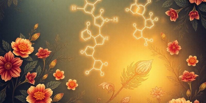 Organic Chemistry Reactions Overview