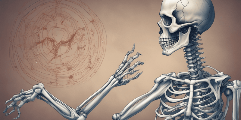 Skeletal System: In-Depth Look at Bursae, Tendons, Ligaments, Cartilage, and Bones
