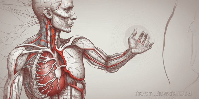 Human Heart Structure and Function Quiz