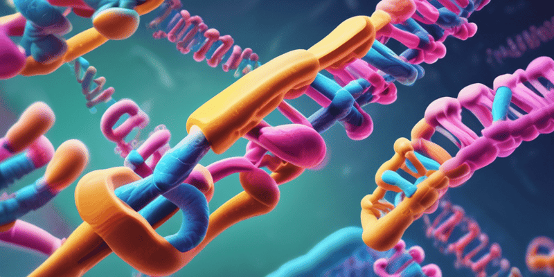 Human Chromosomes and Karyotypes Quiz