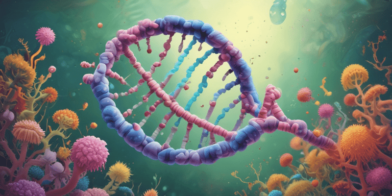 E. coli DNA Polymerase I vs III