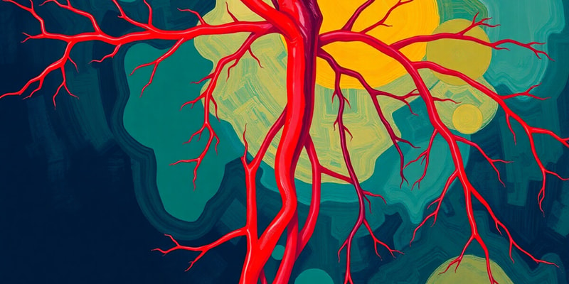 Development of blood vessels