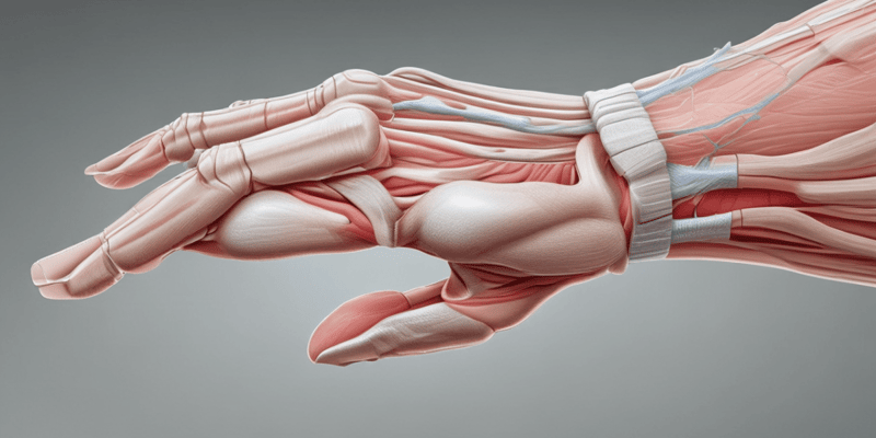 Rehabilitation of flexor and extensor tendon injuries in the hand: Current updates