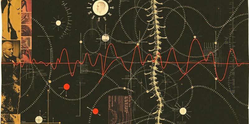 Neuroscience Chapter: Ion Channels and Spinal Cord