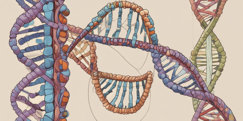 Basics of Genetics Quiz