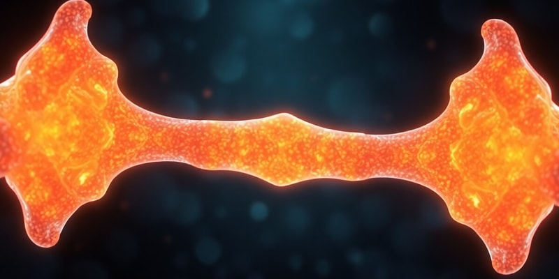 Bone Mineralization and Hormonal Regulation