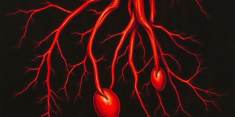 Blood Vessels and Hemodynamics