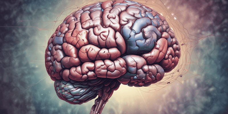 Pathology Quiz: Brain and CNS Tumors