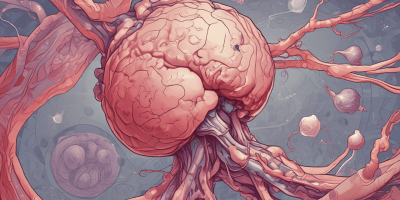 Pathology of Anaplastic Tumors