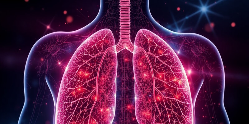 Biology Chapter: Human Respiratory System