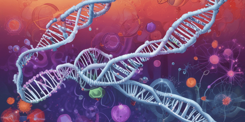 DNA Viruses: Properties, Replication, and Diseases