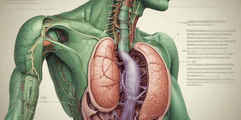 Gallbladder and Bile System Overview