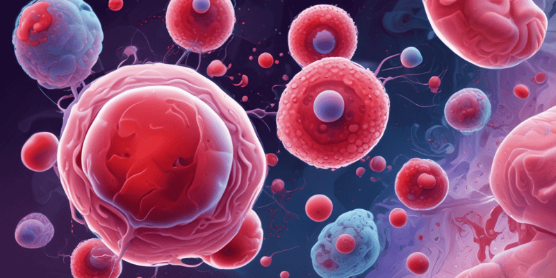 Blood Cells: Identifying Neutrophils