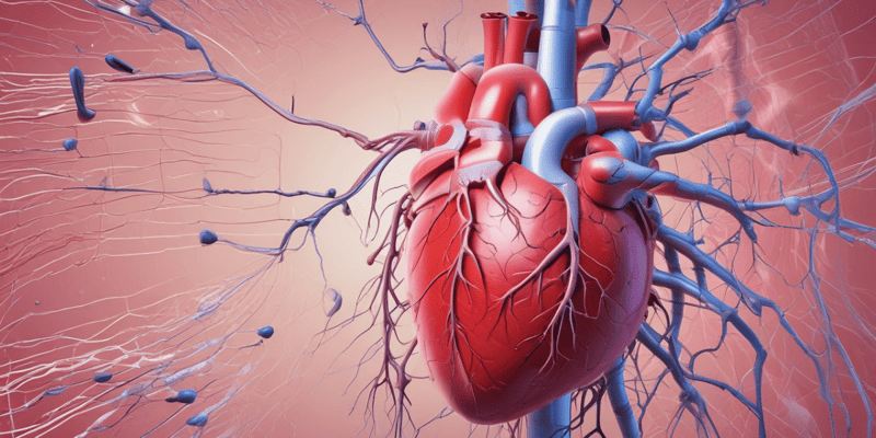 Cardiovascular System Procedures Quiz