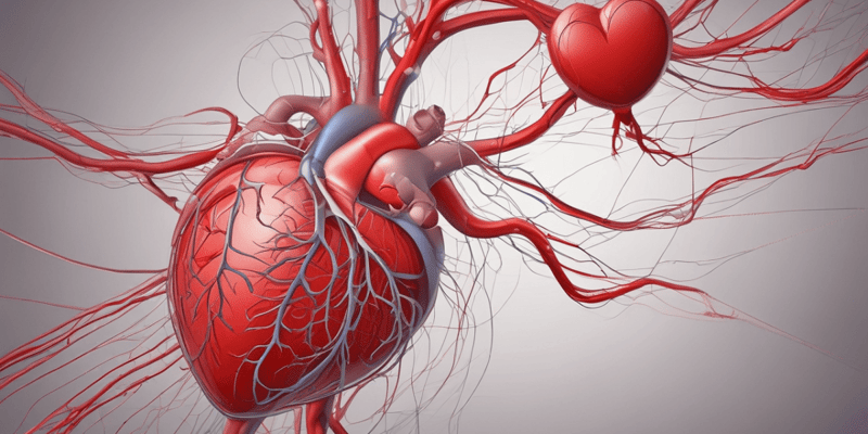 The Cardiovascular System Overview Quiz