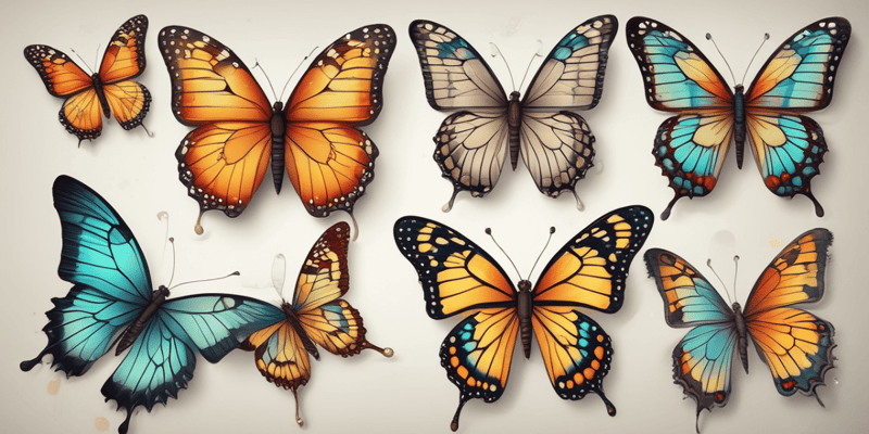 Butterfly Life Cycle and Metamorphosis Quiz
