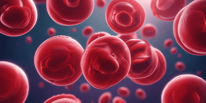 Red Blood Cells Function and Production