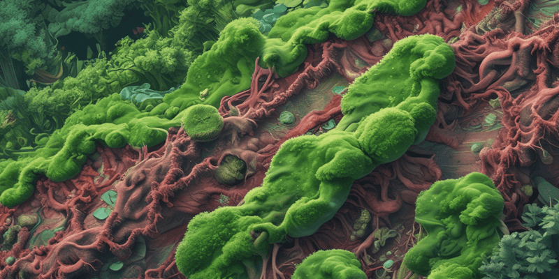Partes de algas pardas y tierra diatomácea