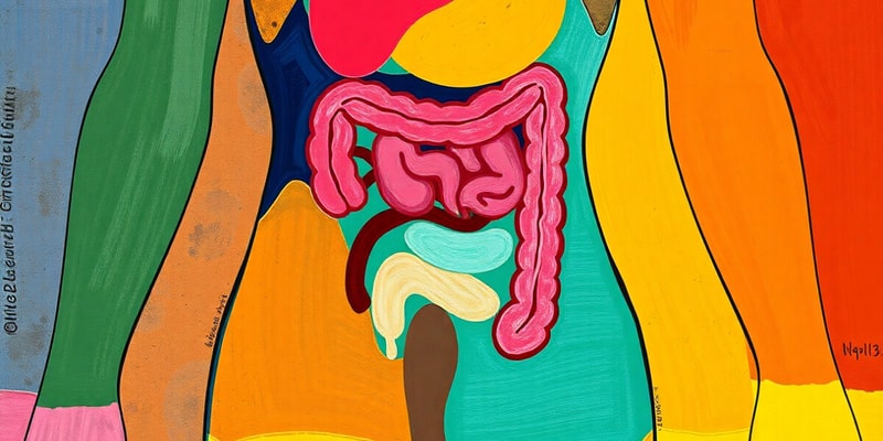 Human Digestive System Quiz