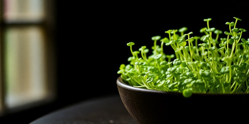 Microgreens Basics Quiz