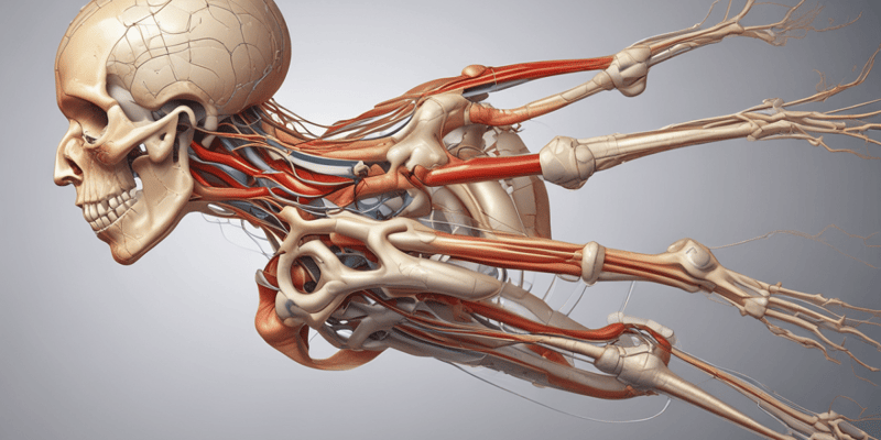 Nerve Injuries in the Upper Limb