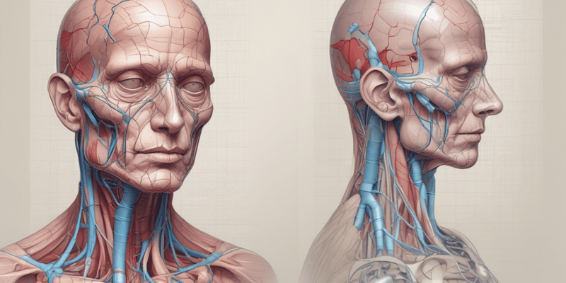 Internal Medicine: Venous Anatomy